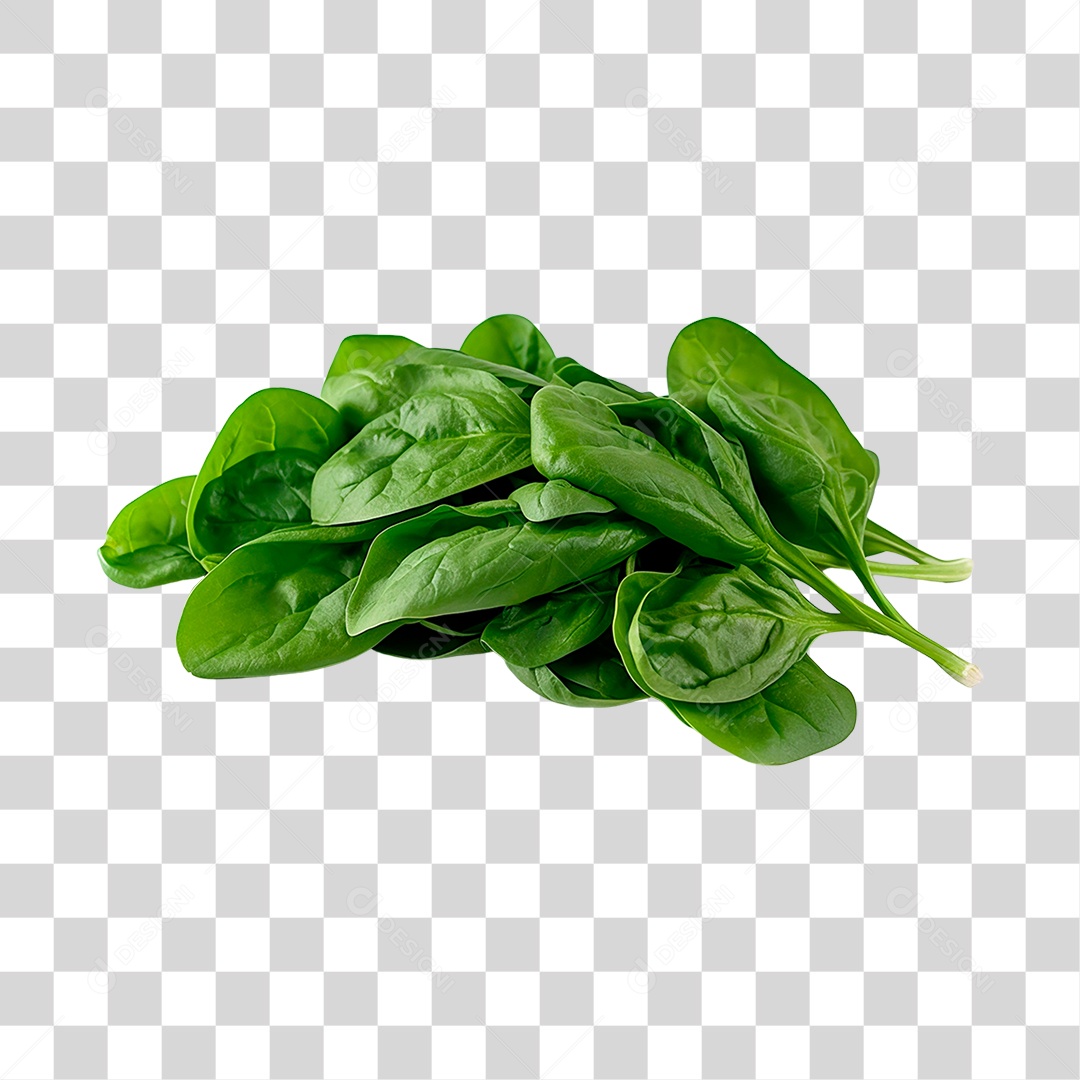 Espinafre alimento PNG Transparente