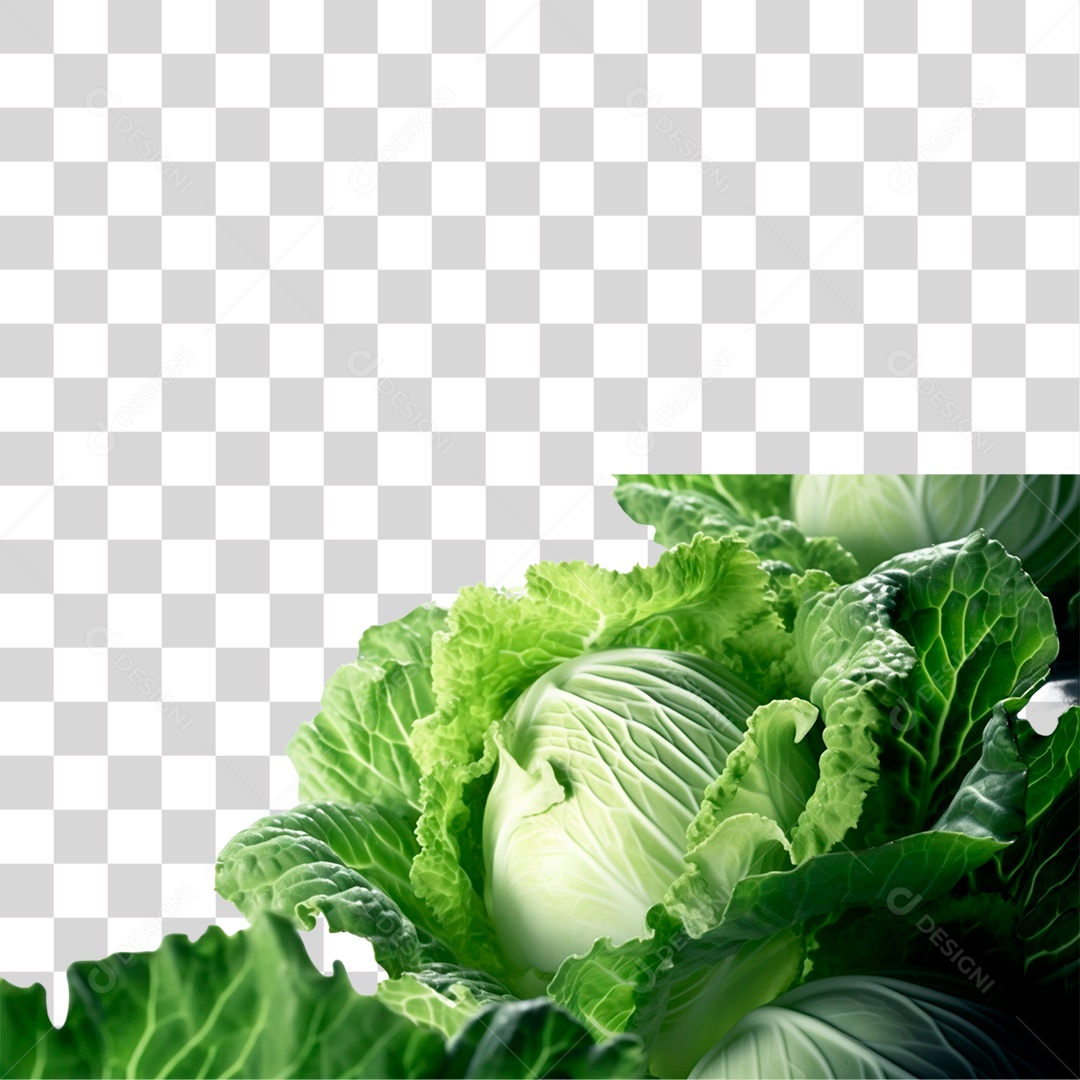 Verduras e legumes frescos