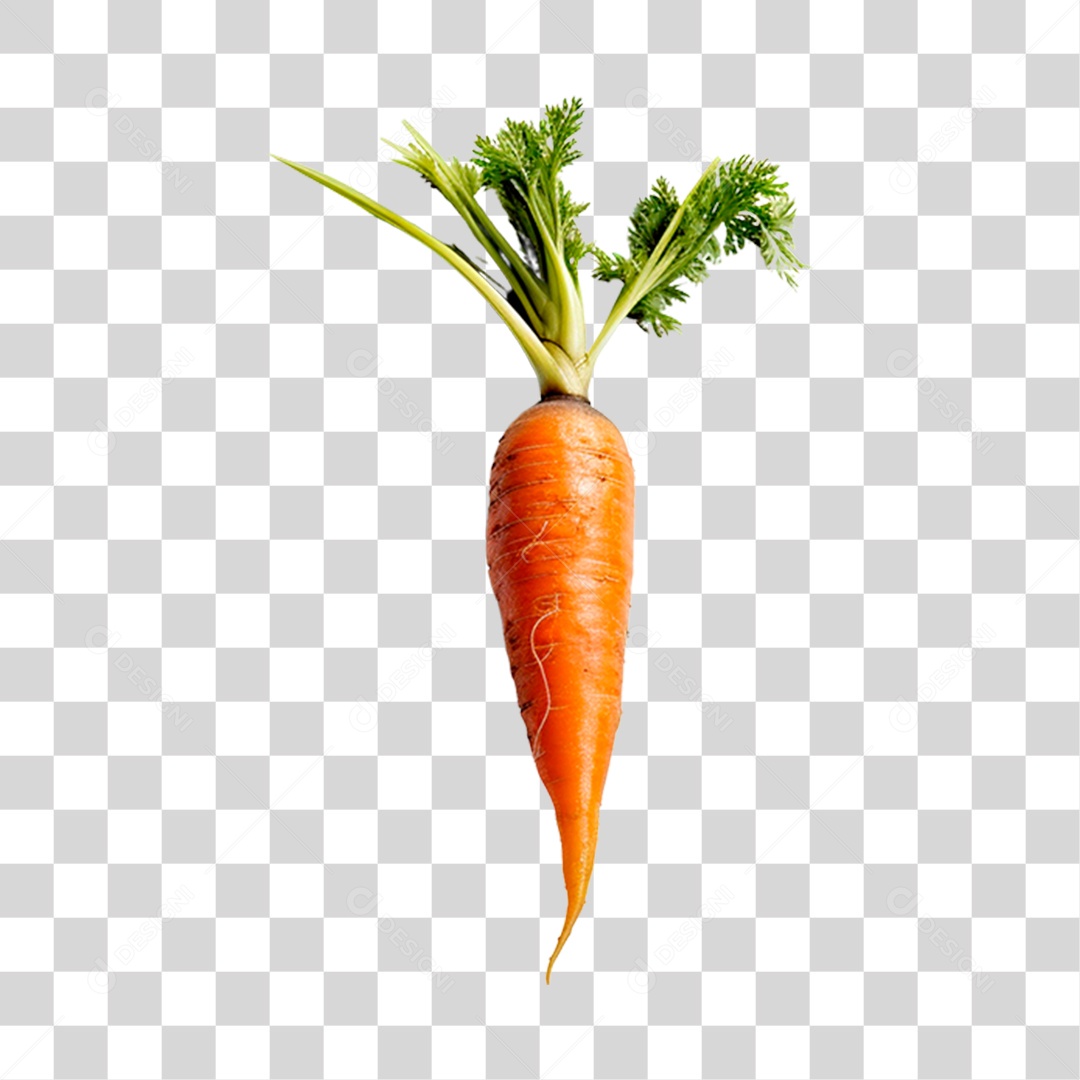 Cenoura alimento PNG Transparente