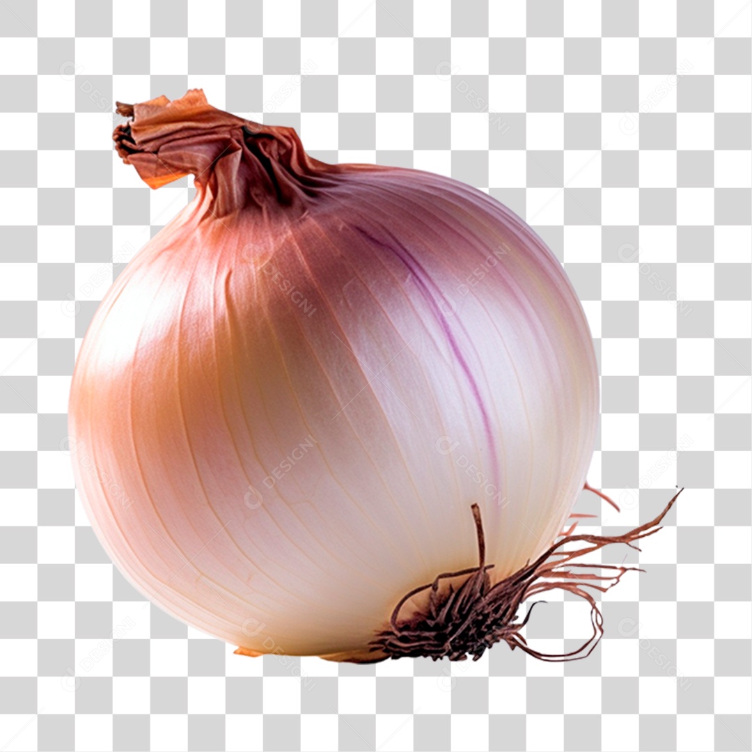 Cebola alimento PNG Transparente