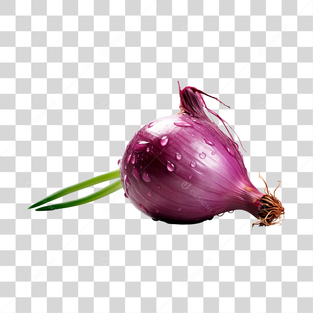 Cebola alimento PNG Transparente