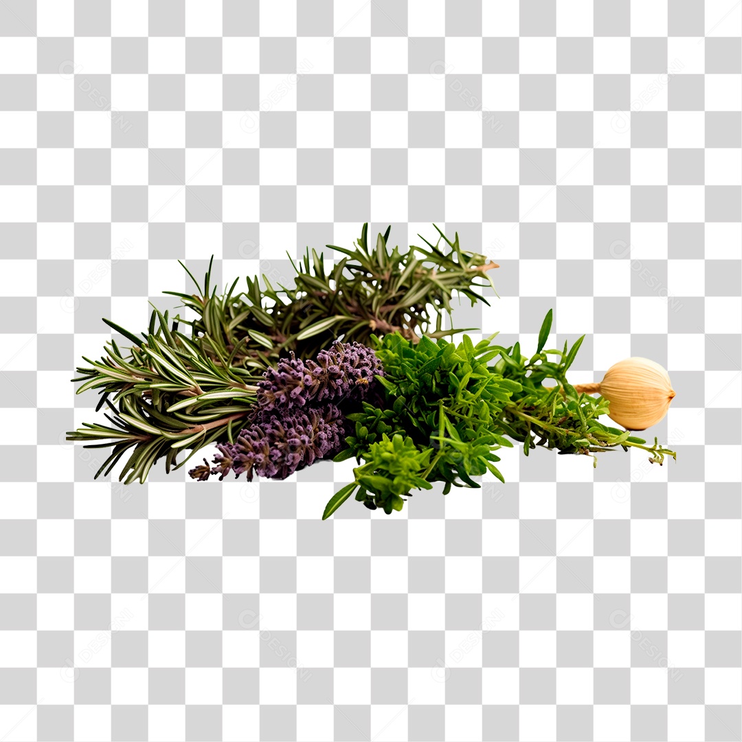 Alecrim Plantas PNG Transparente