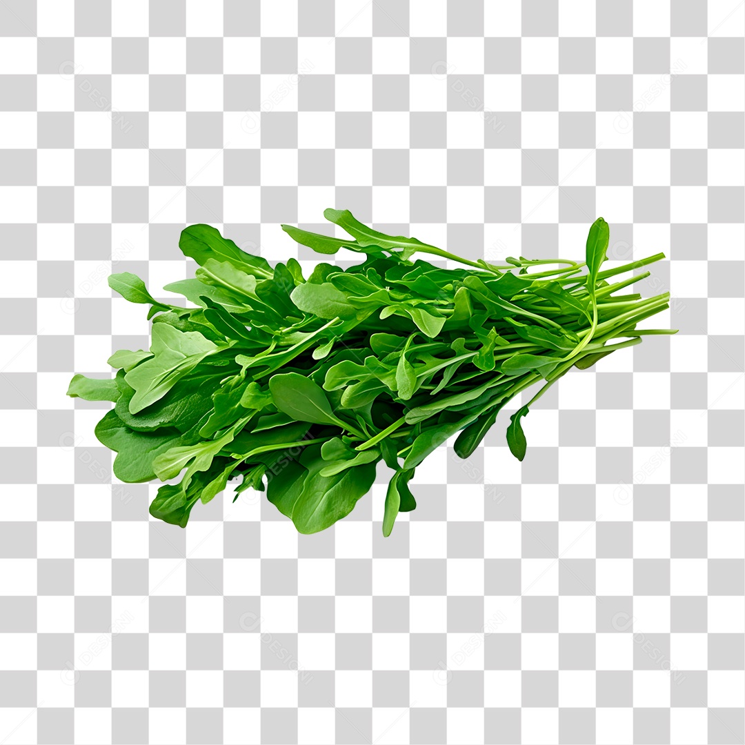 Rúcula legumes fresco PNG Transparente