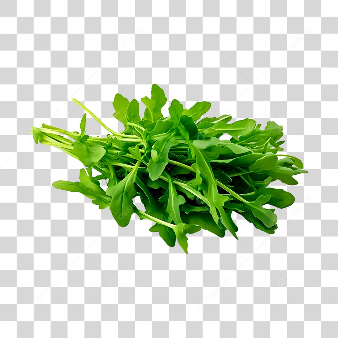 Rúcula legumes fresco PNG Transparente
