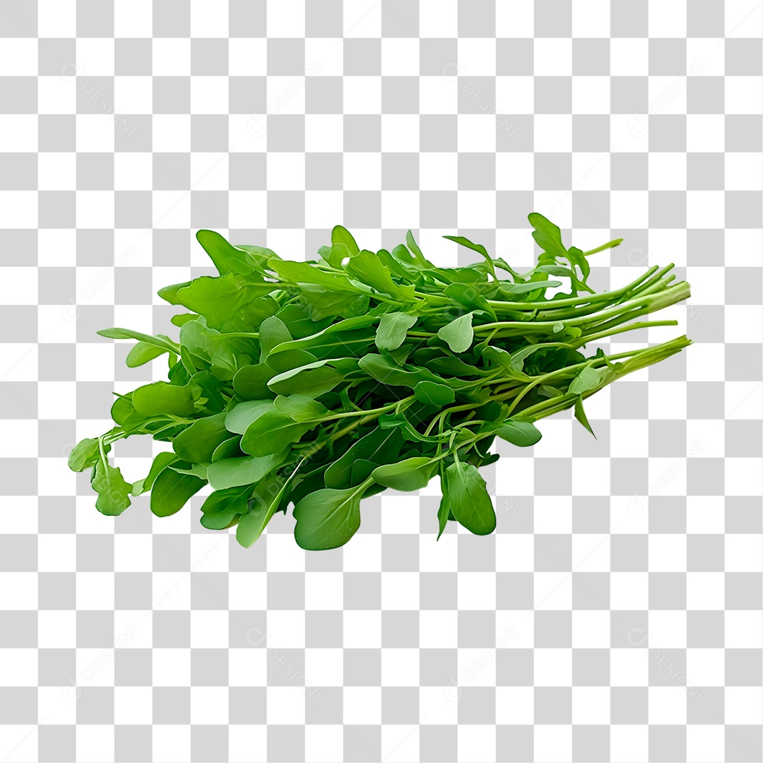 Rúcula legumes fresco PNG Transparente