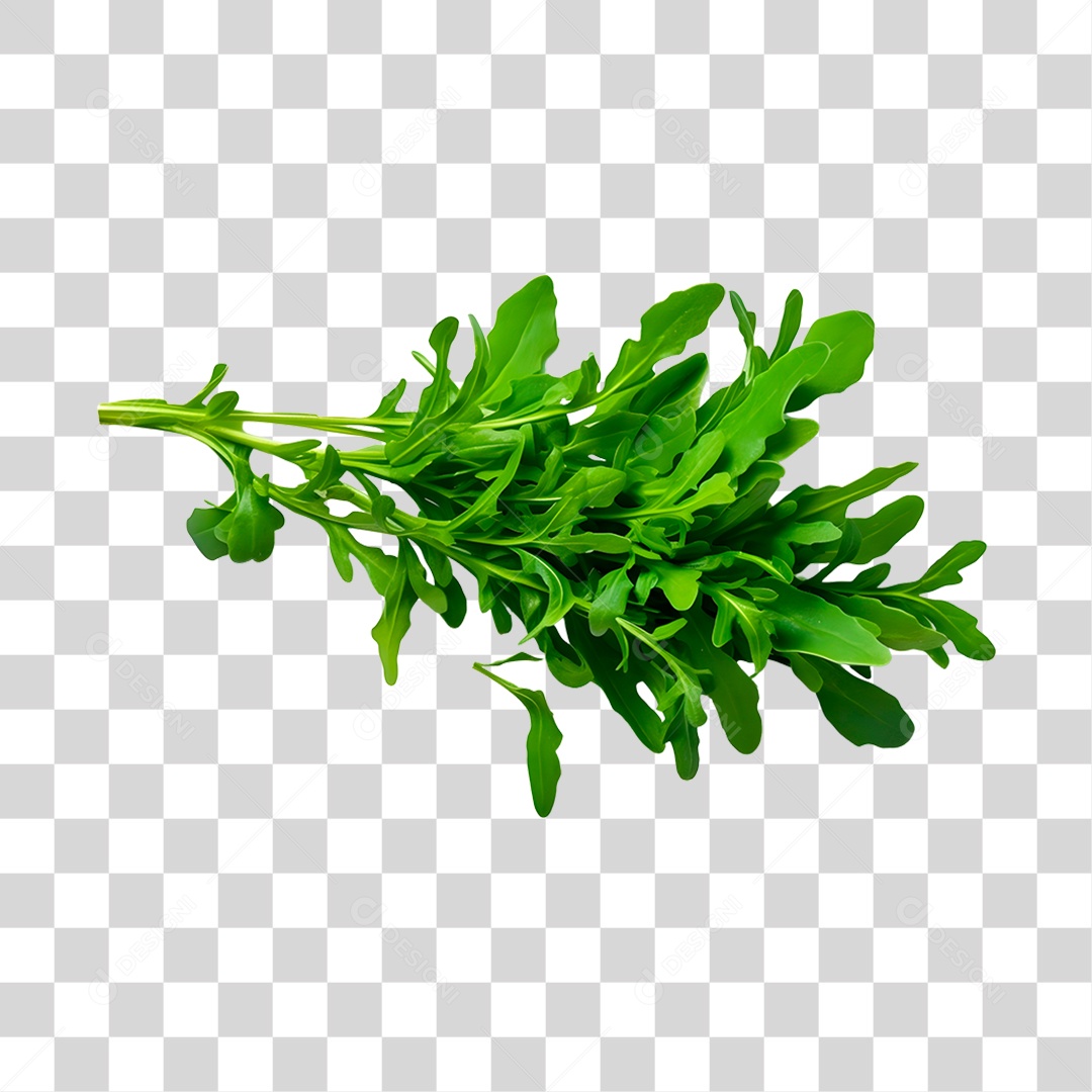 Rúcula legumes fresco PNG Transparente