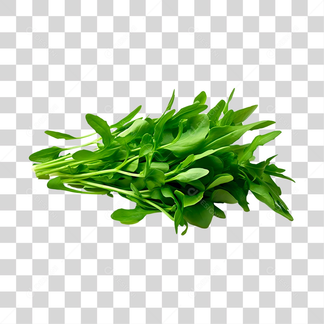 Rúcula legumes fresco