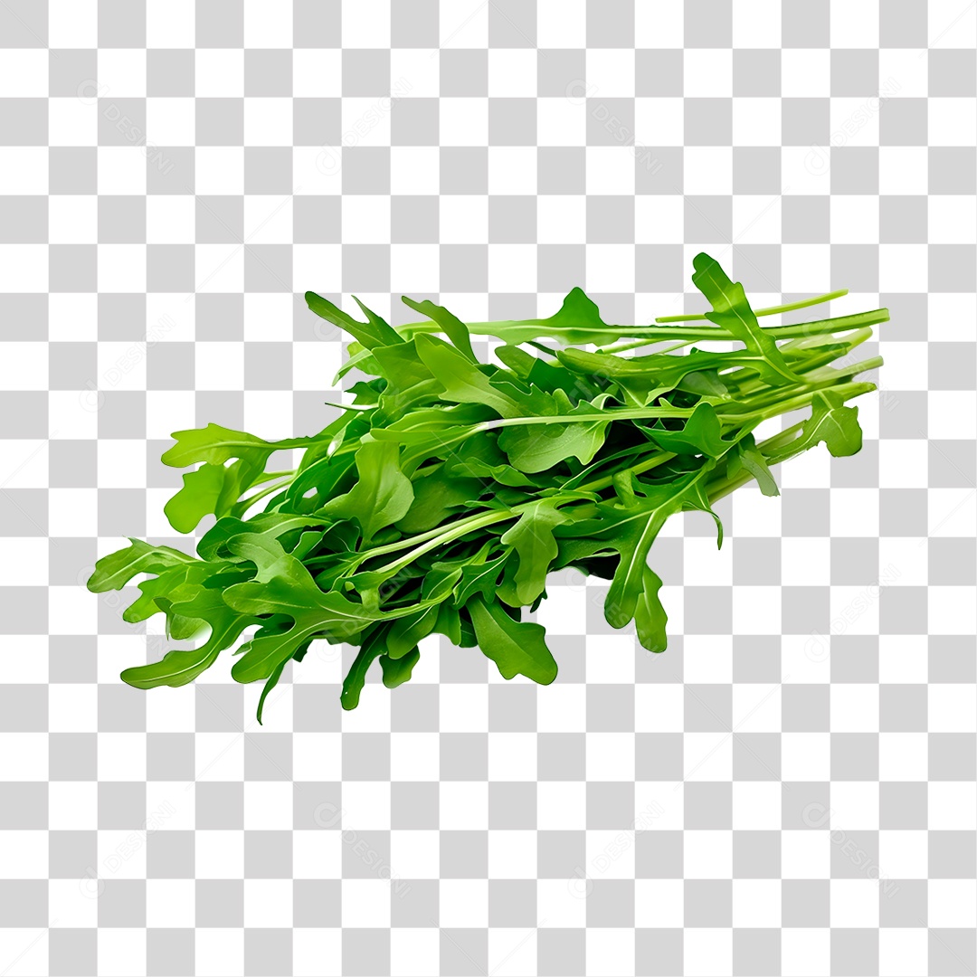 Rúcula legumes fresco