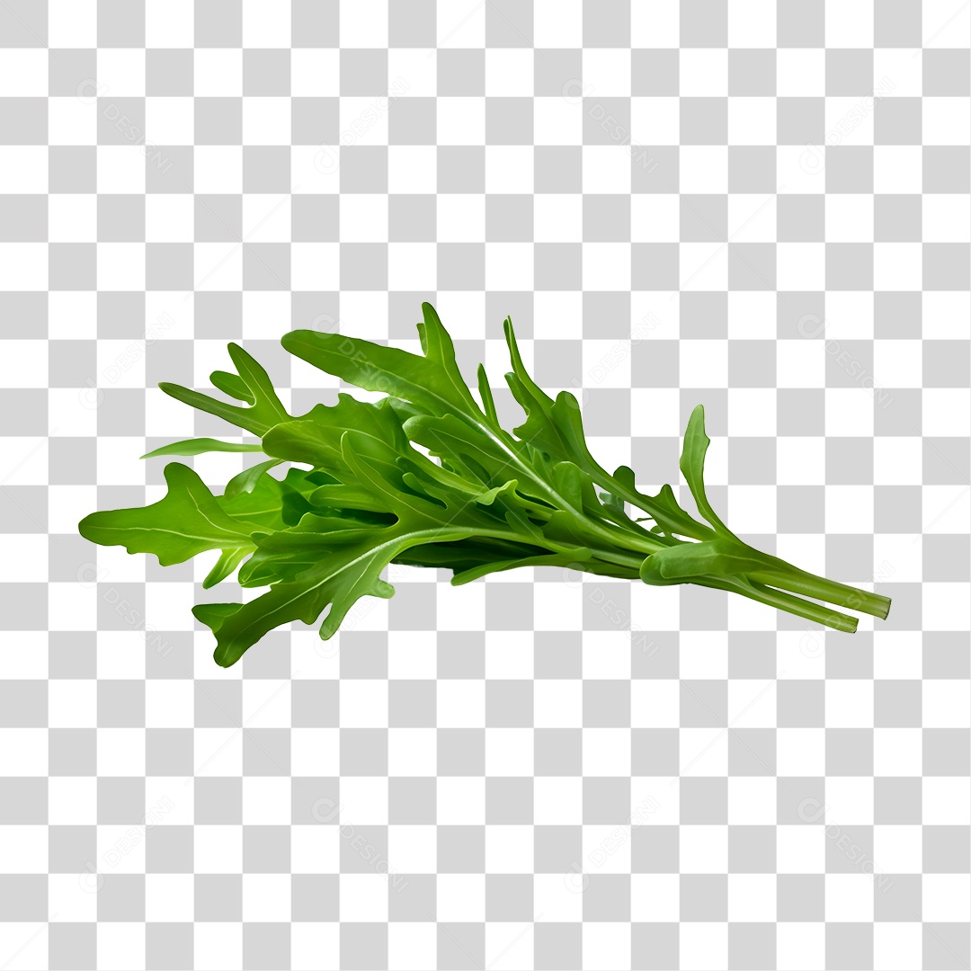 Rúcula legumes fresco PNG Transparente