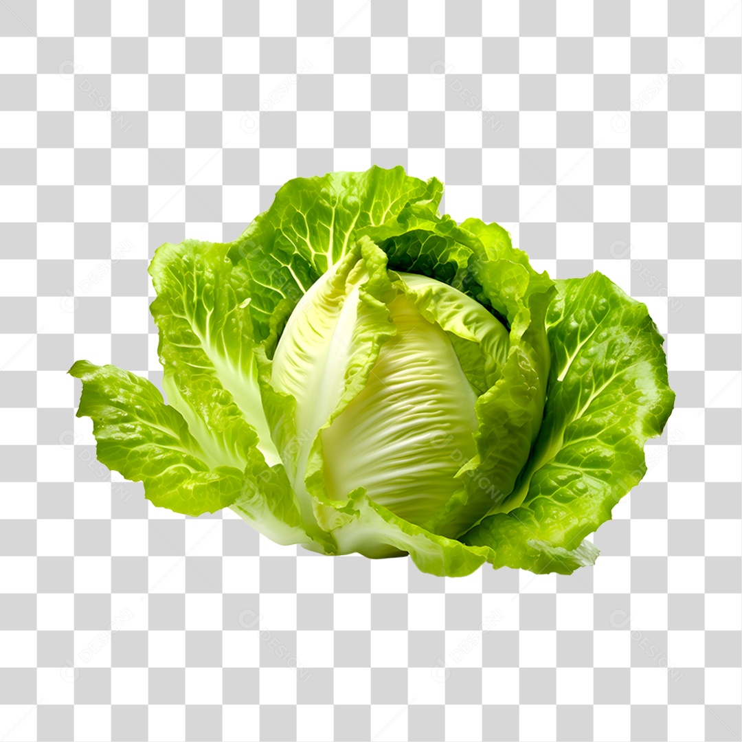 Alface romana fresca PNG Transparente