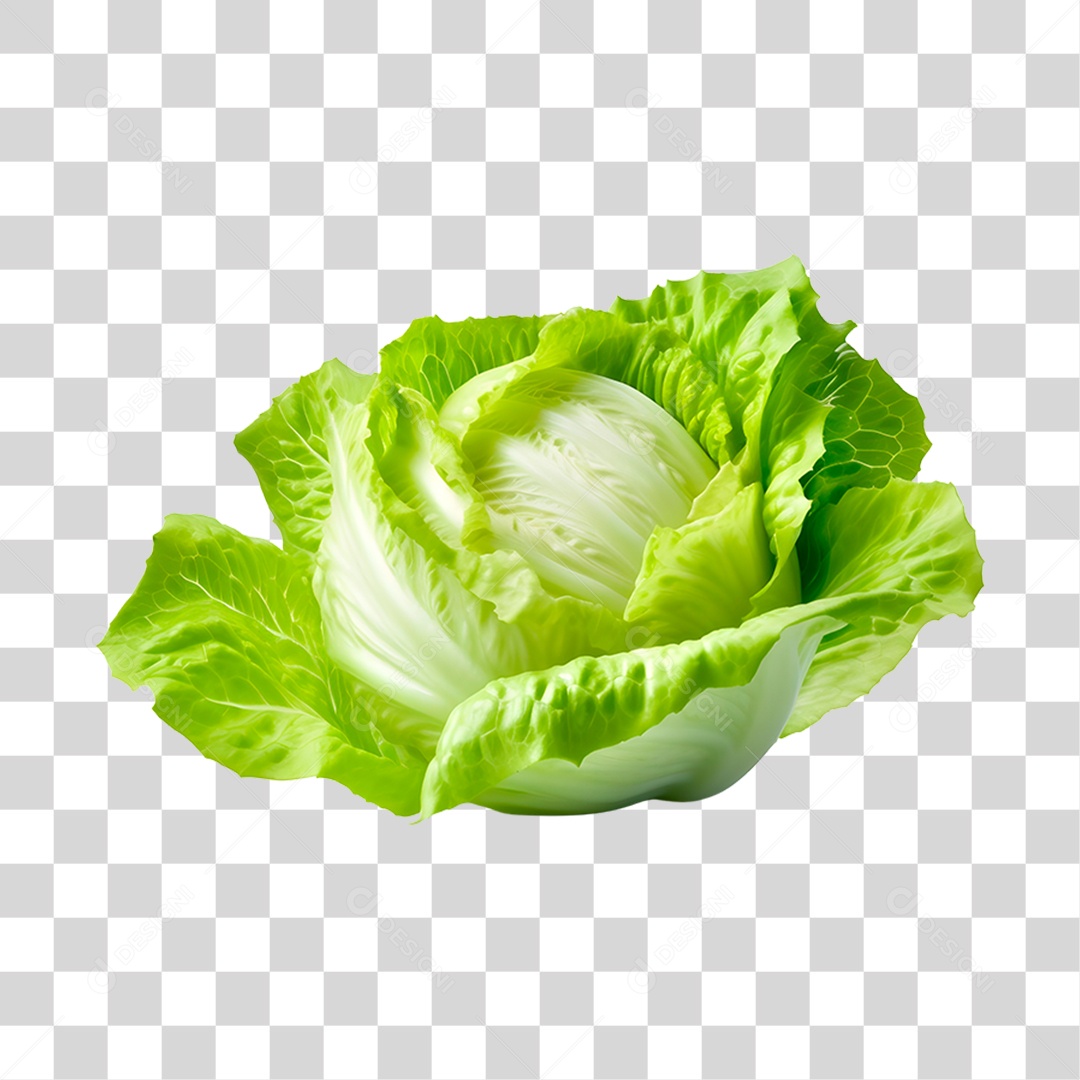 Alface romana fresca PNG Transparente