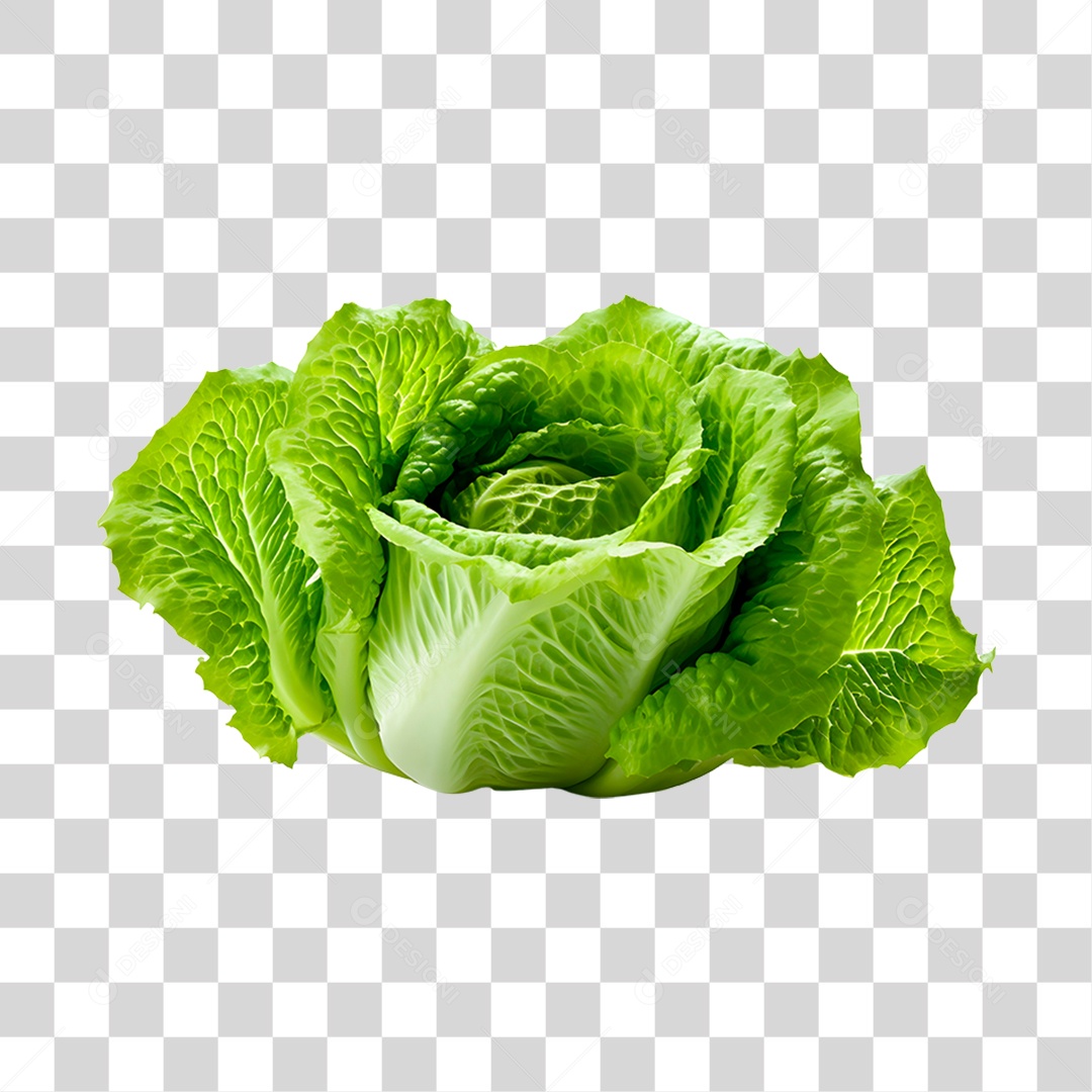 Alface romana fresca PNG Transparente