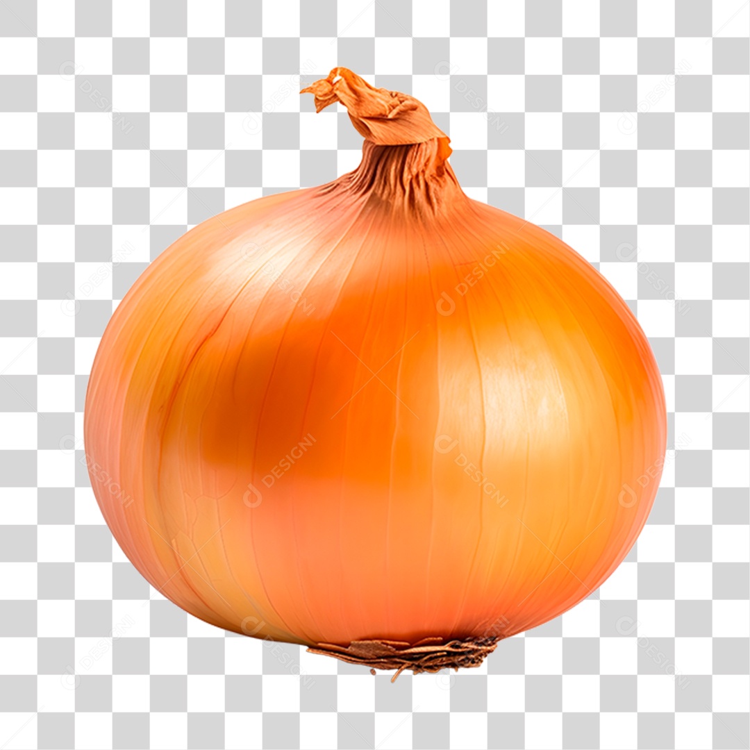 Cebola alimento PNG Transparente