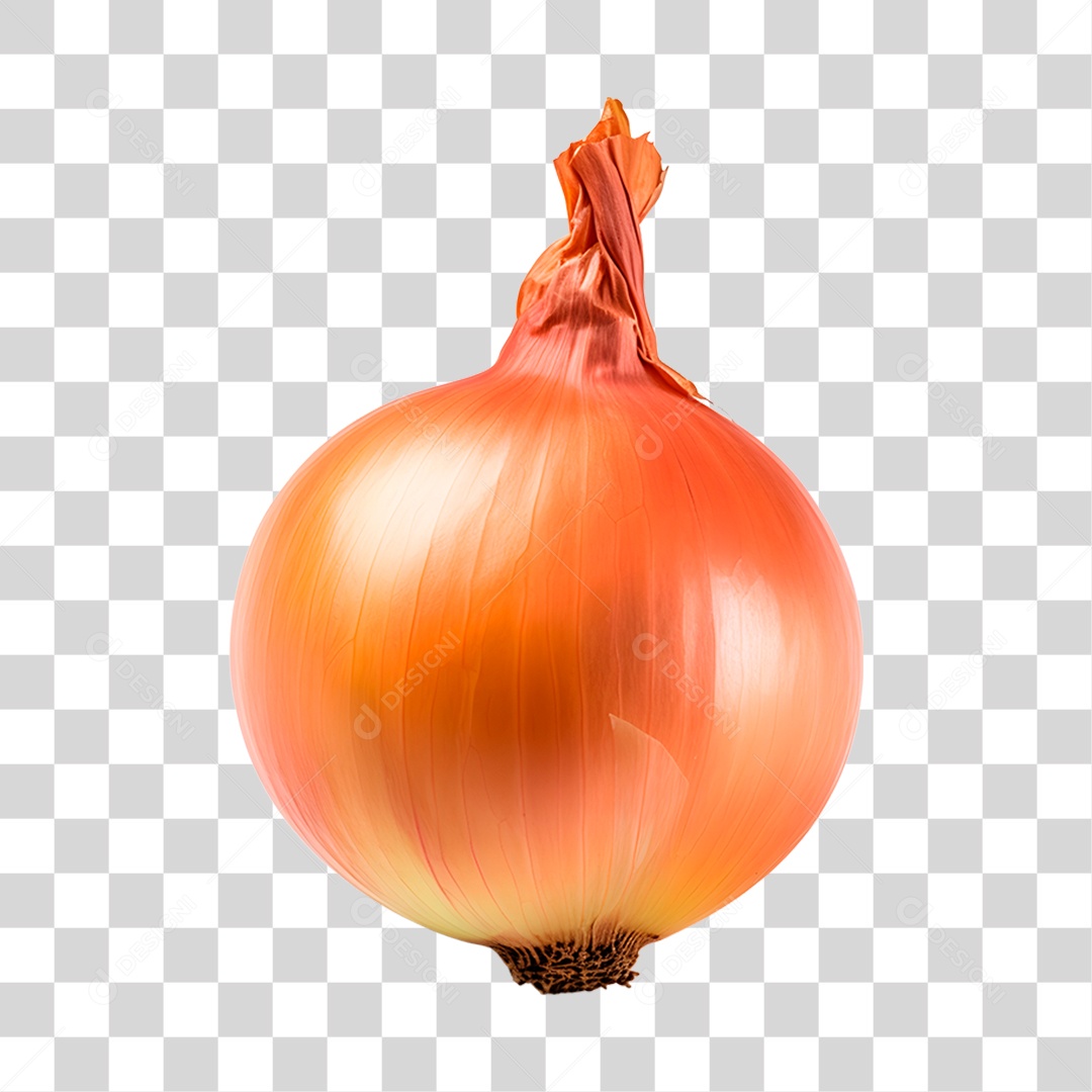 Cebola alimento PNG Transparente