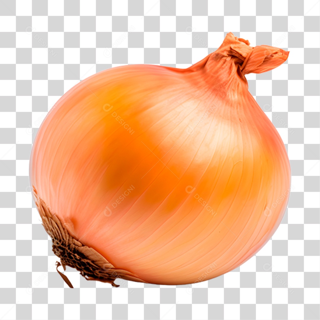 Cebola alimento PNG Transparente