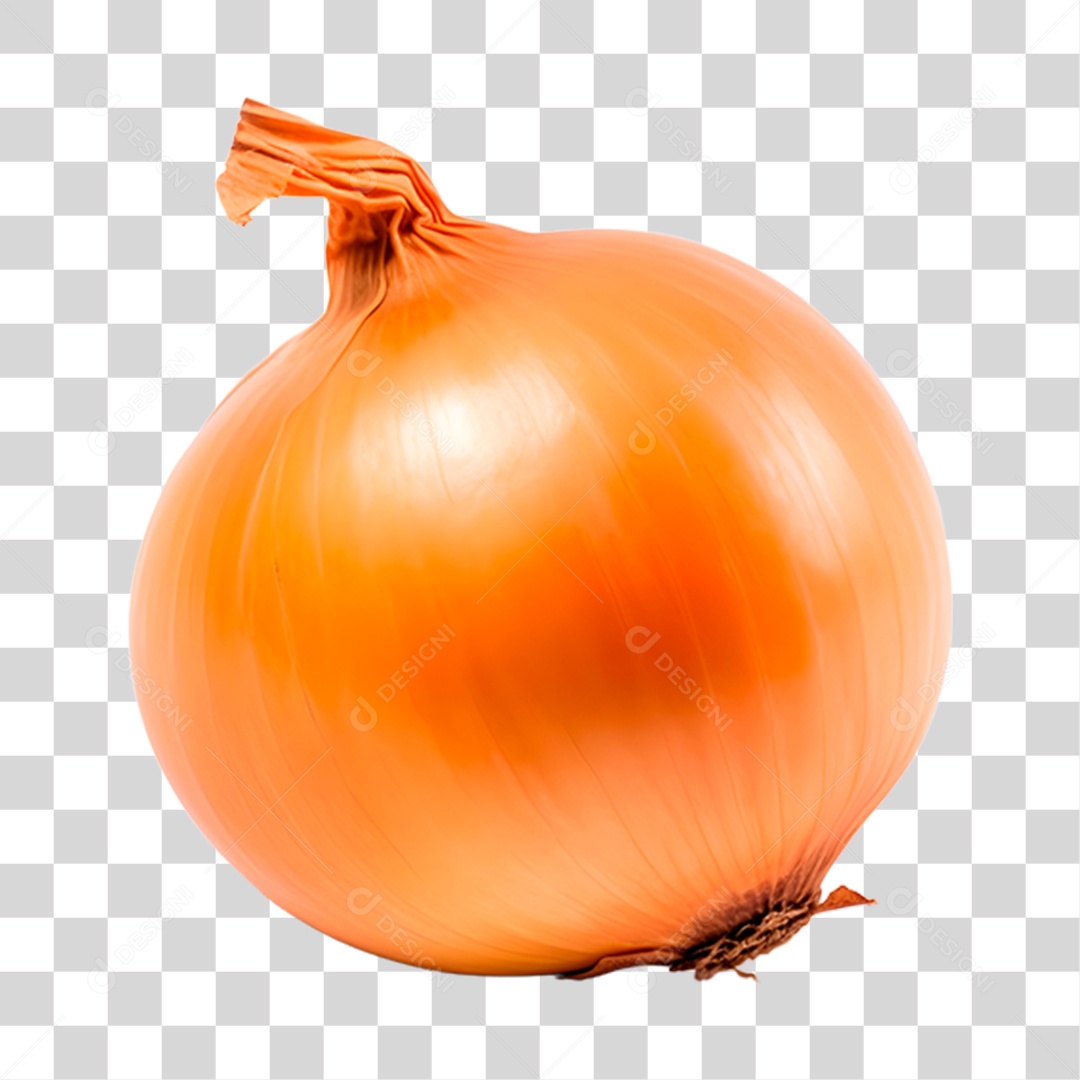 Cebola alimento PNG Transparente