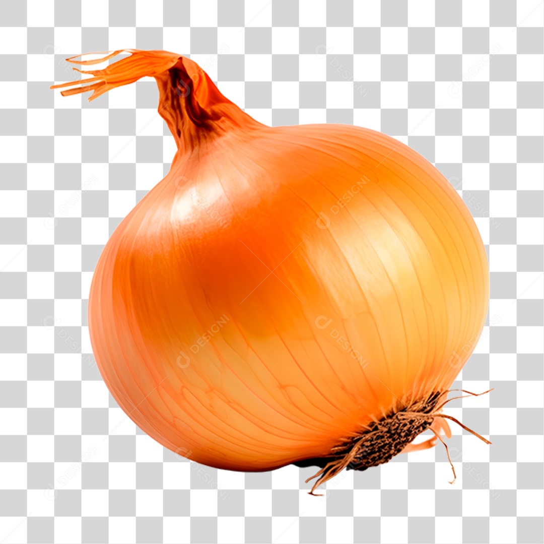 Cebola alimento PNG Transparente