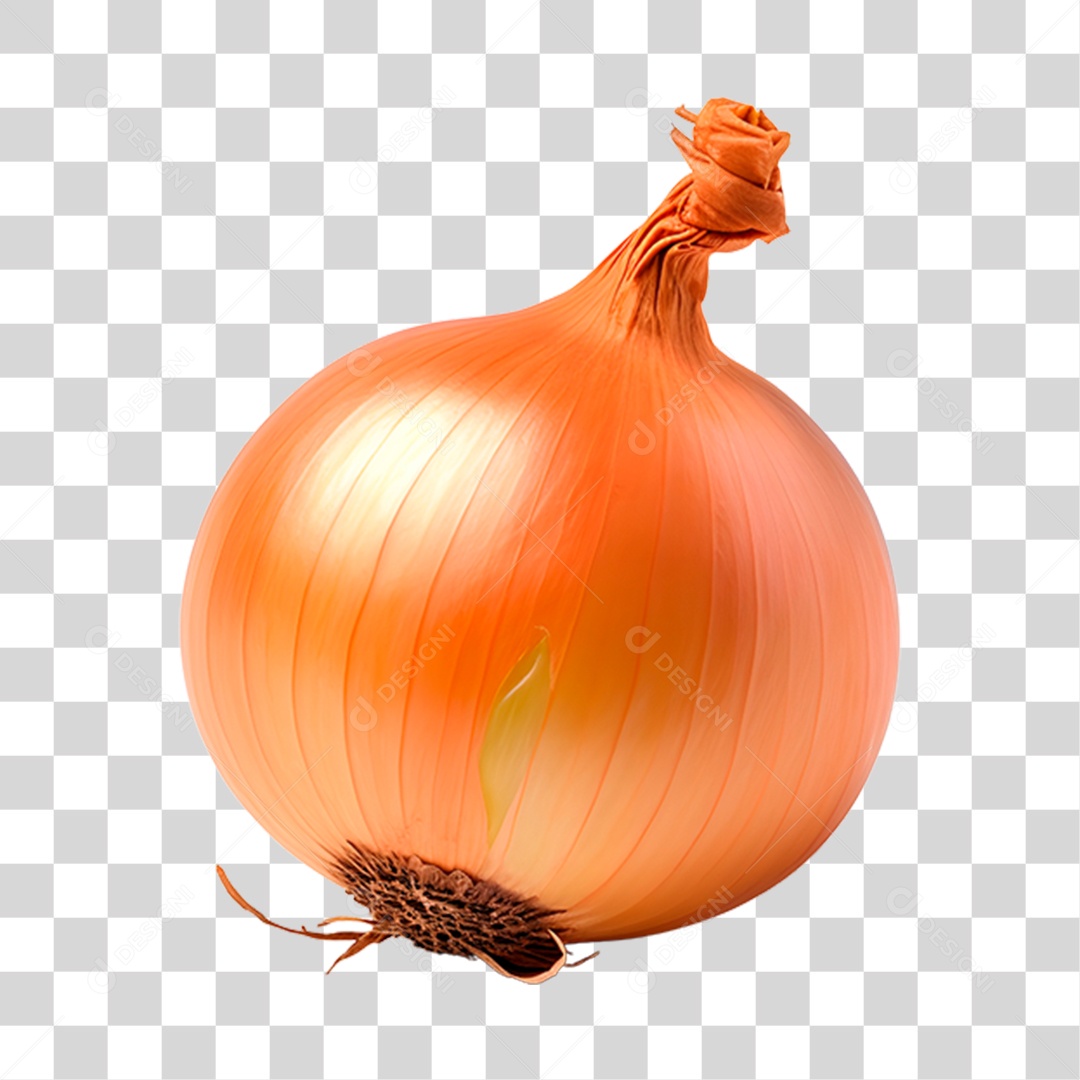 Cebola alimento PNG Transparente