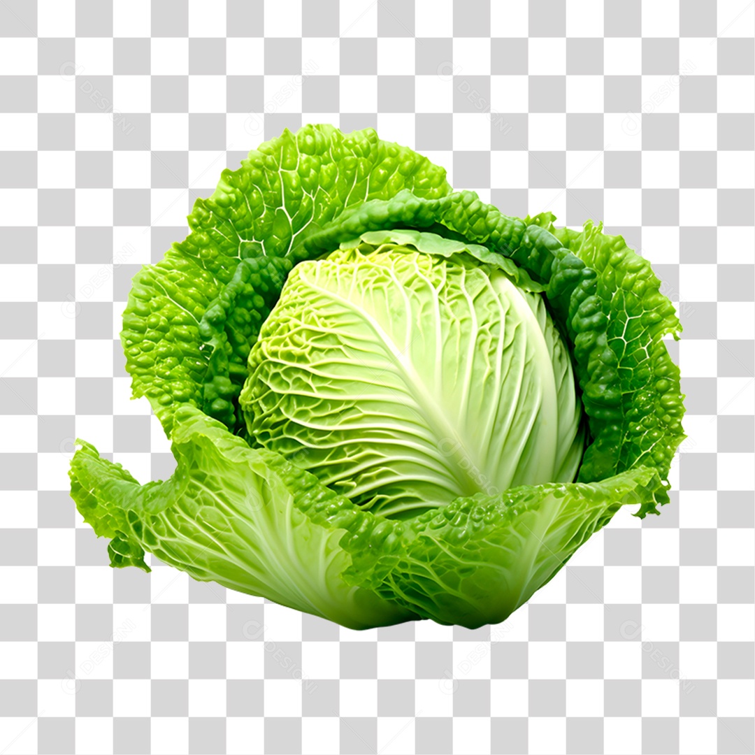 Repolho alimento PNG Transparente