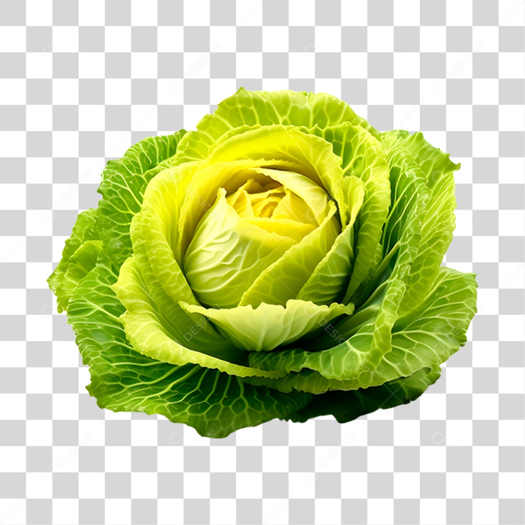 Repolho alimento PNG Transparente