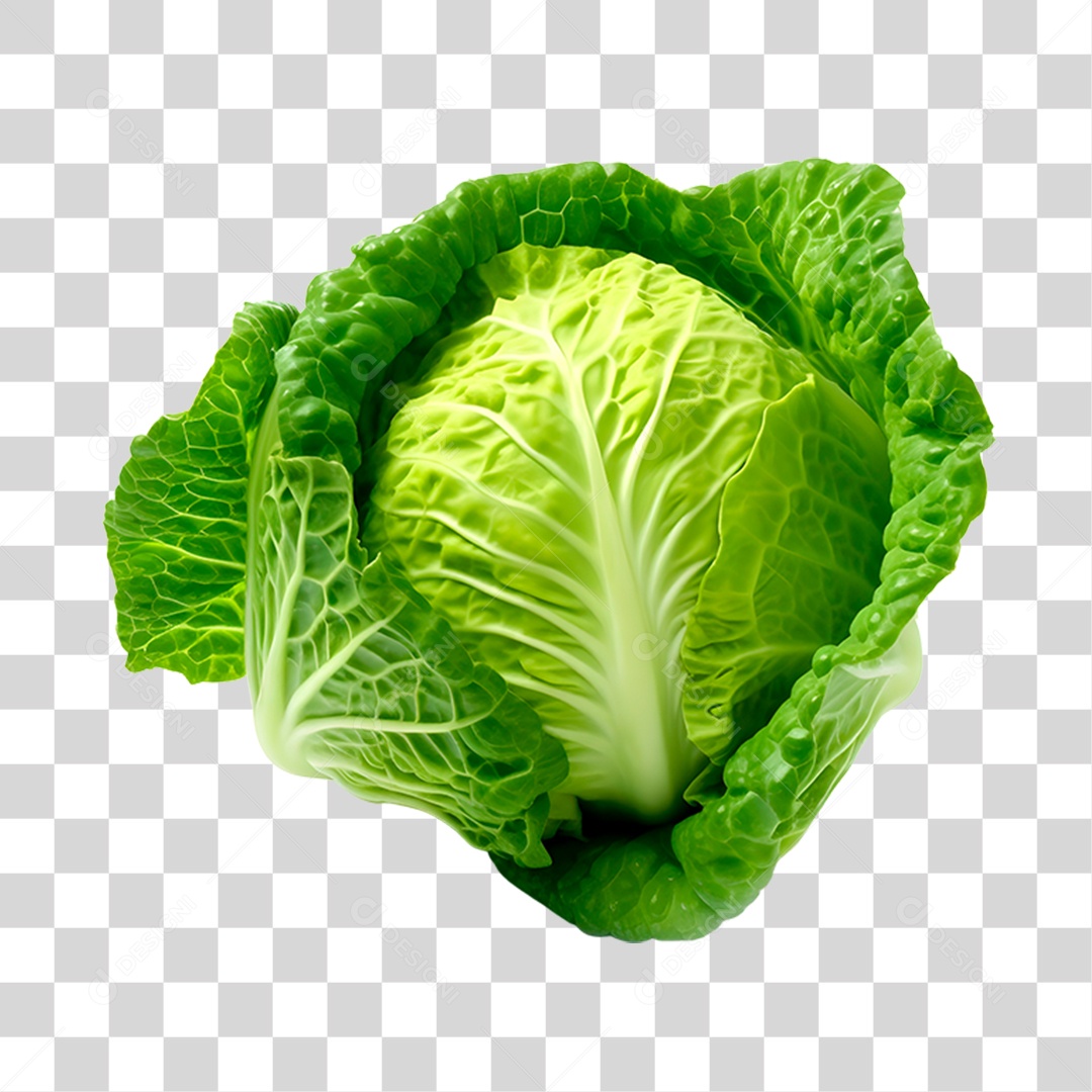 Repolho alimento PNG Transparente