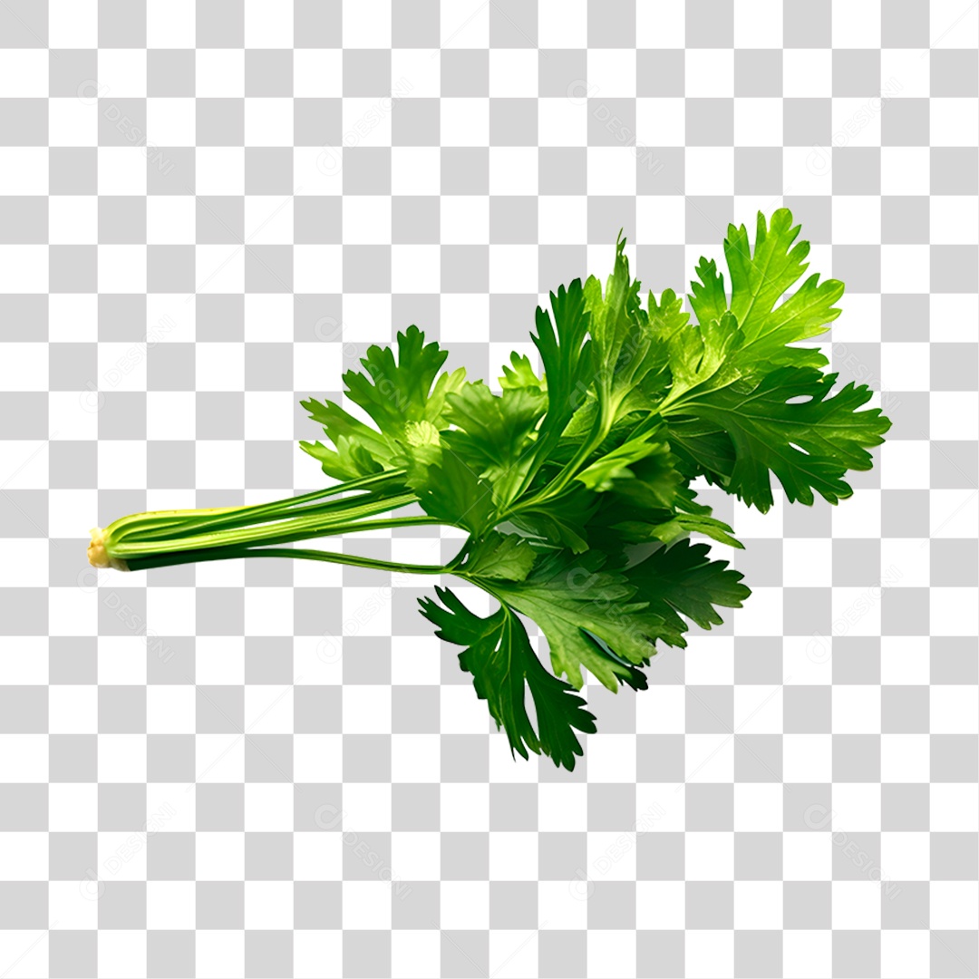 Salsinha de folha PNG Transparente