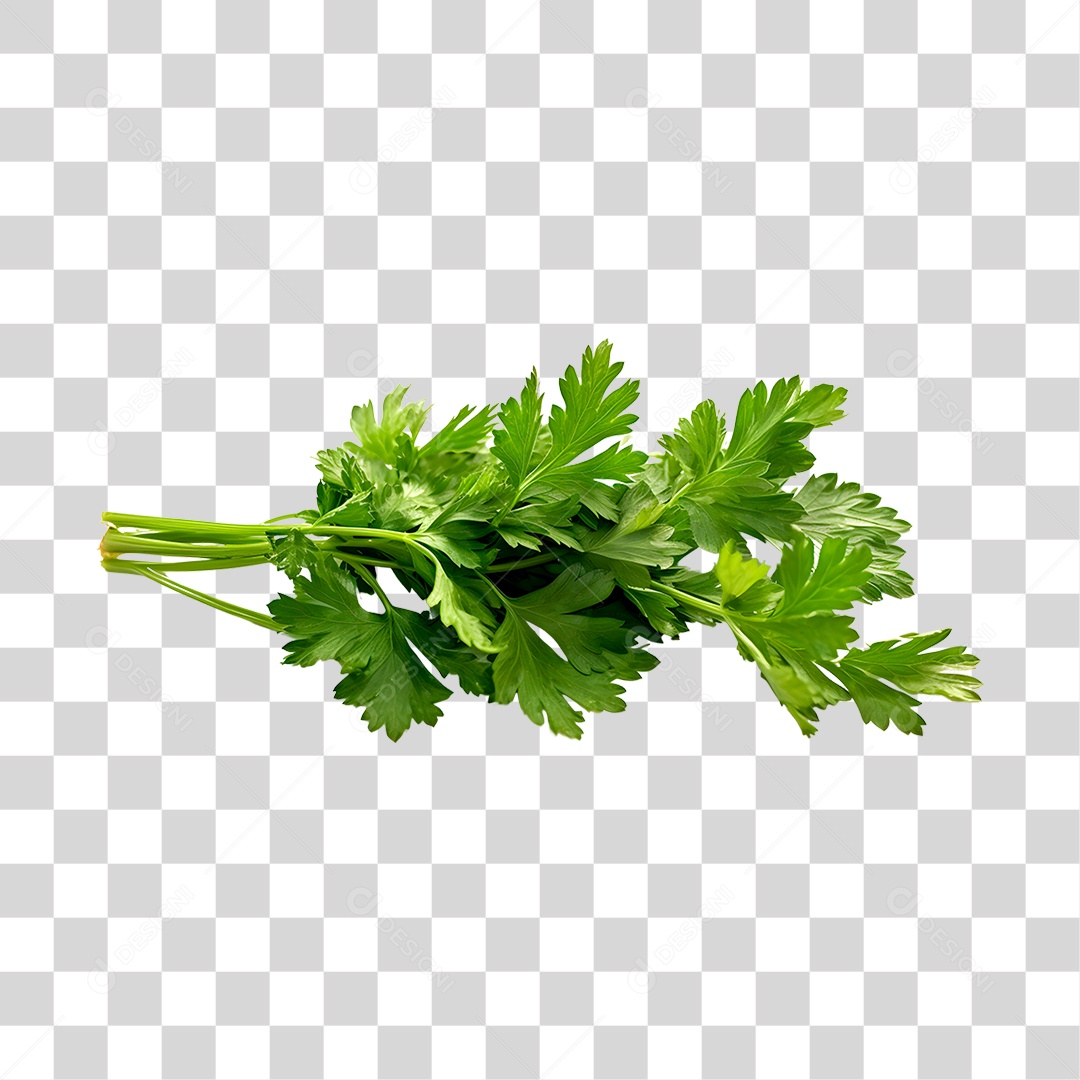 Salsinha de folha PNG Transparente