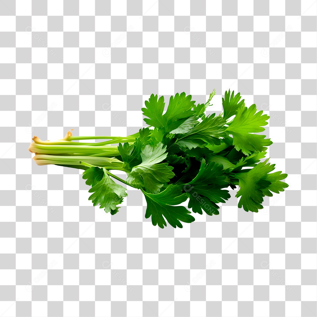 Salsinha de folha PNG Transparente