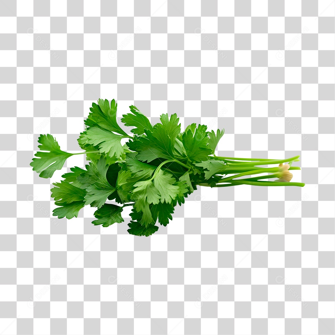 Salsinha de folha PNG Transparente