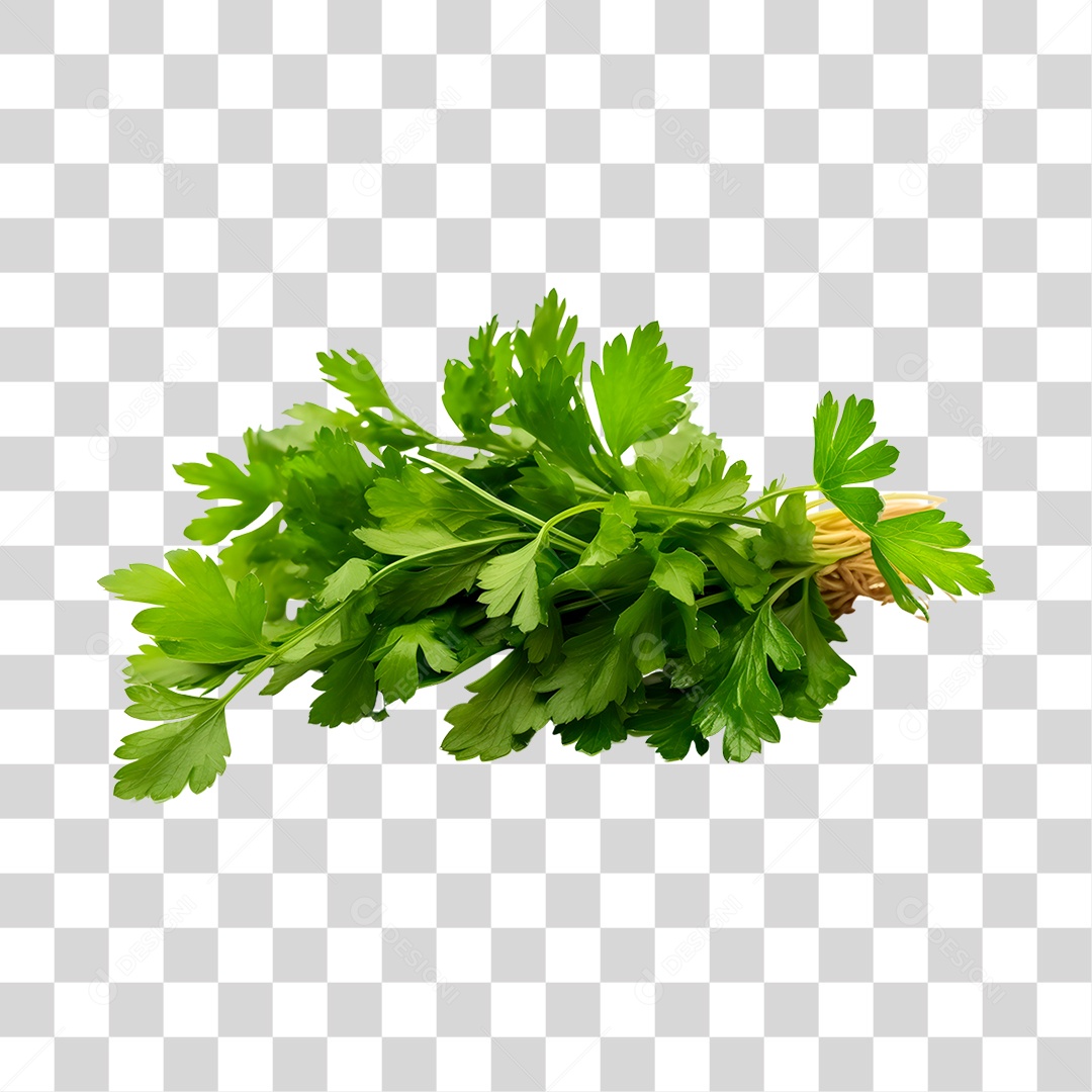 Salsinha de folha PNG Transparente
