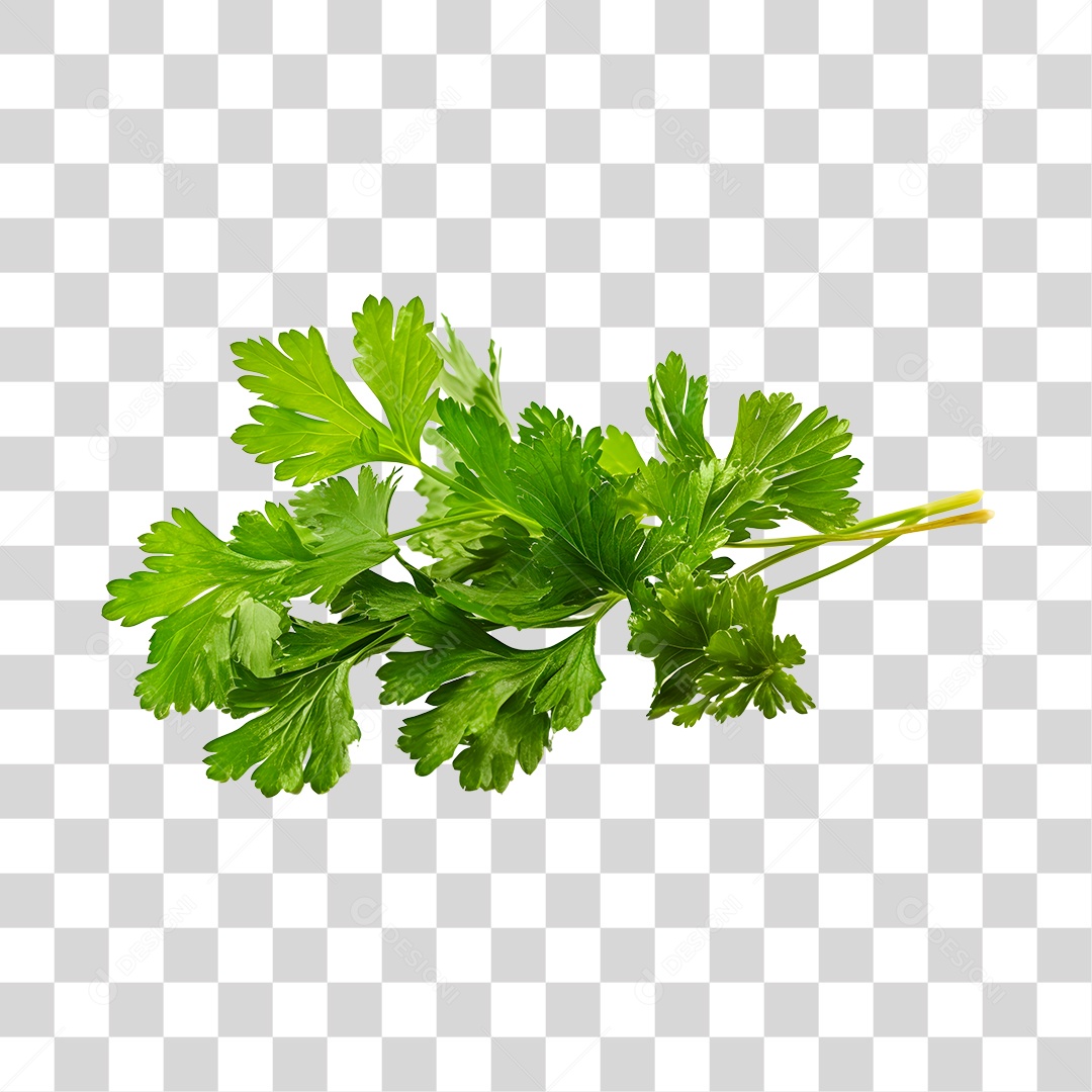 Salsinha de folha PNG Transparente