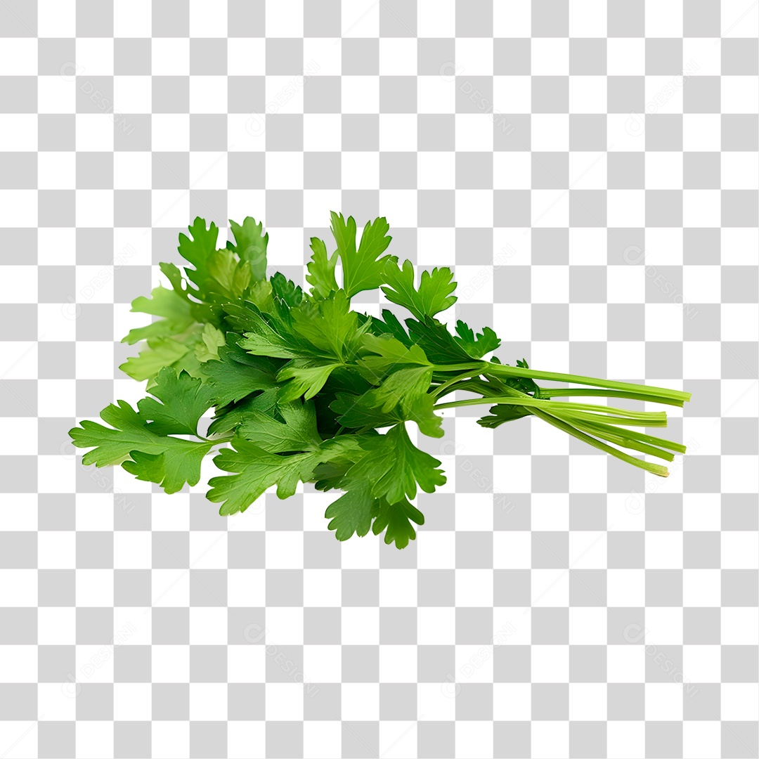 Salsinha de folha PNG Transparente