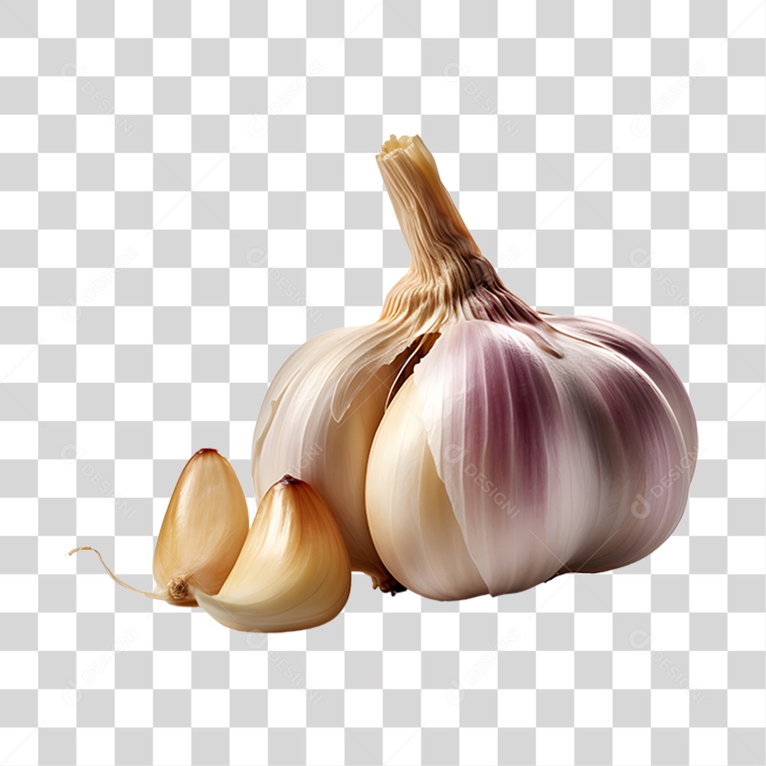 Alho Fresco PNG Transparente