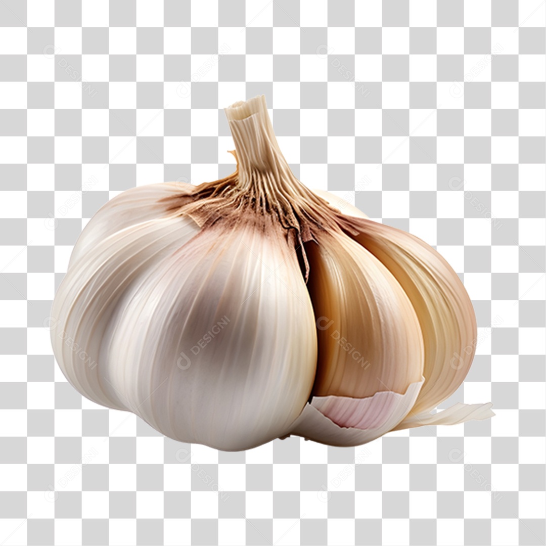 Alho Fresco PNG Transparente