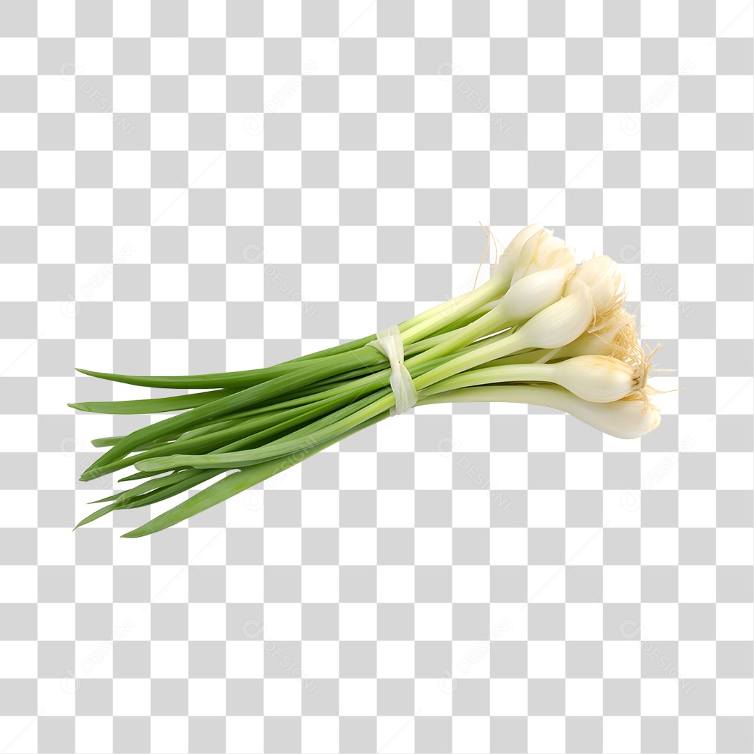 Calçot Fresco PNG Transparente