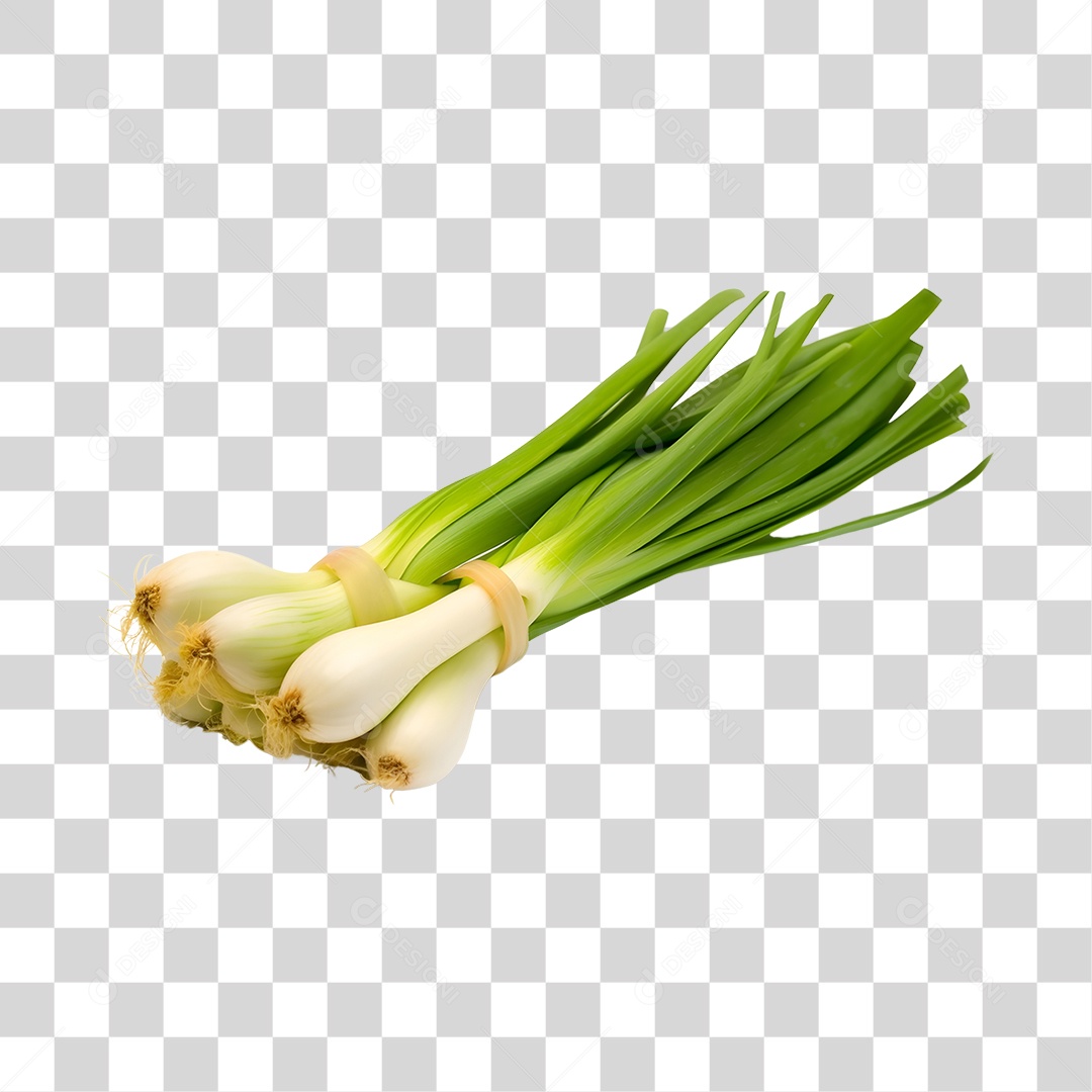 Calçot Fresco PNG Transparente