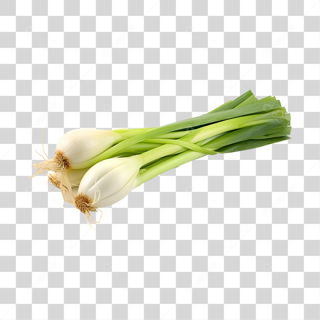 Calçot Fresco PNG Transparente