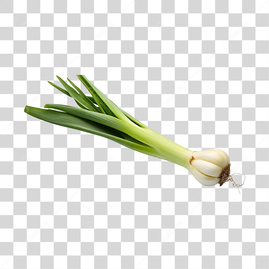 Calçot Fresco PNG Transparente