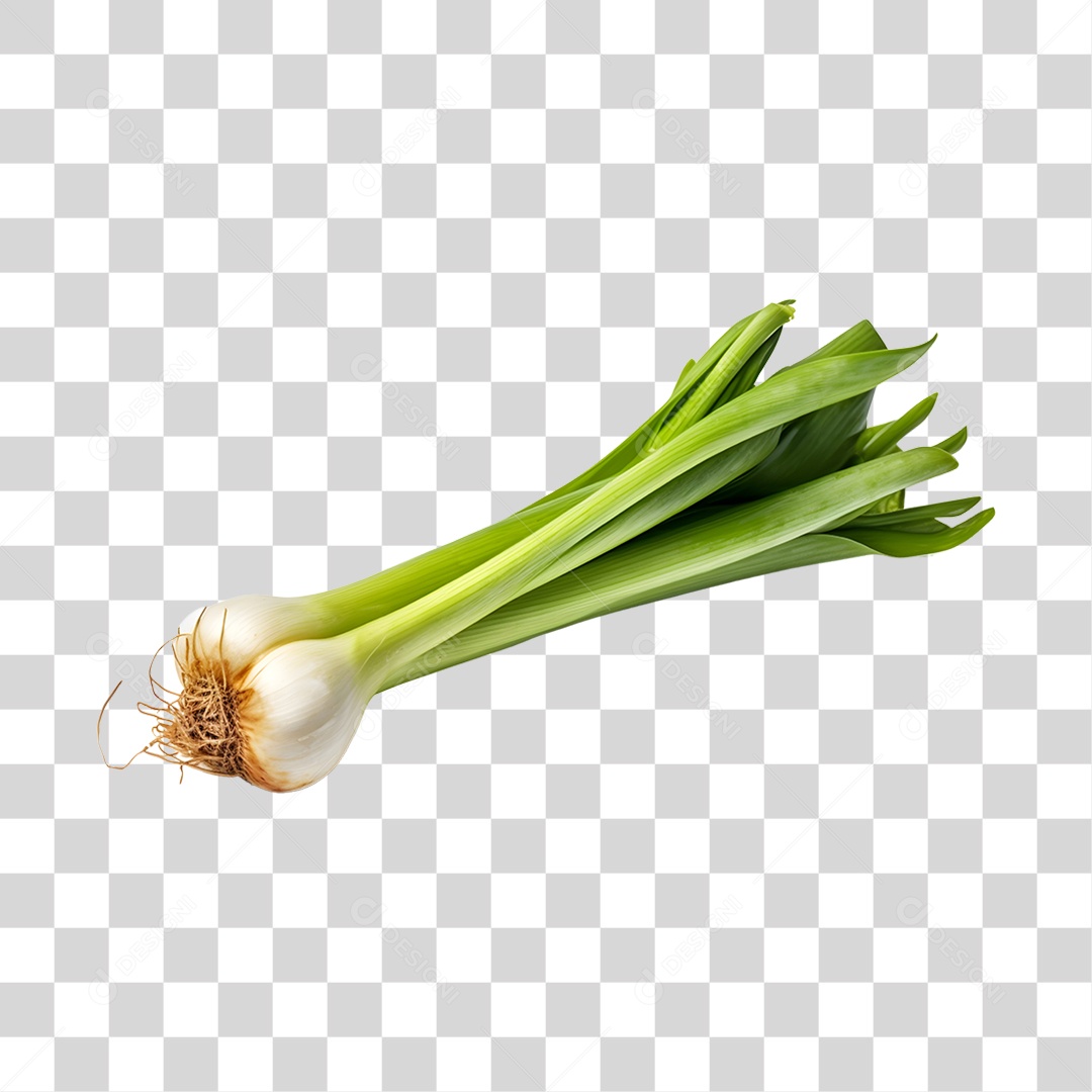 Calçot Fresco PNG Transparente