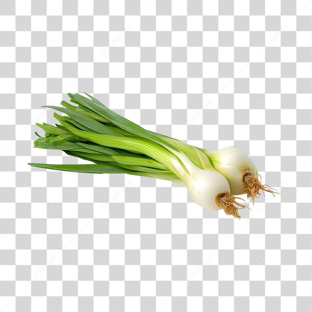 Calçot Fresco PNG Transparente