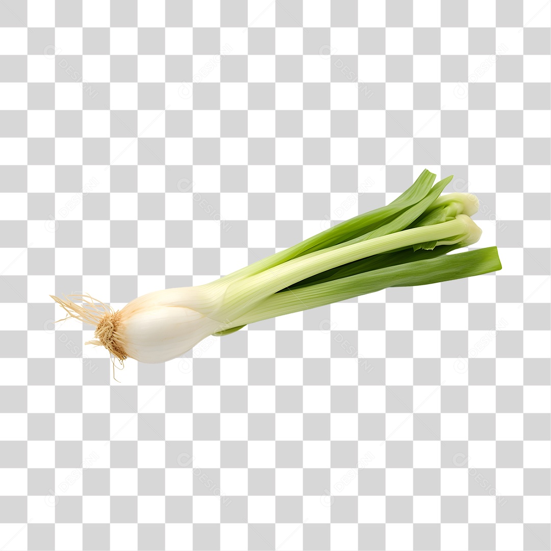 Calçot Fresco PNG Transparente