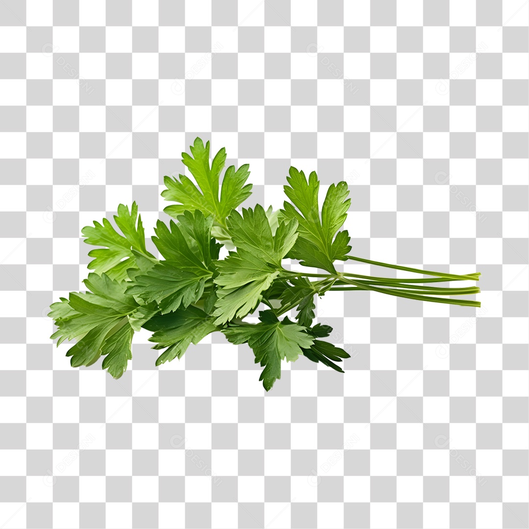 Salsa Fresca PNG Transparente