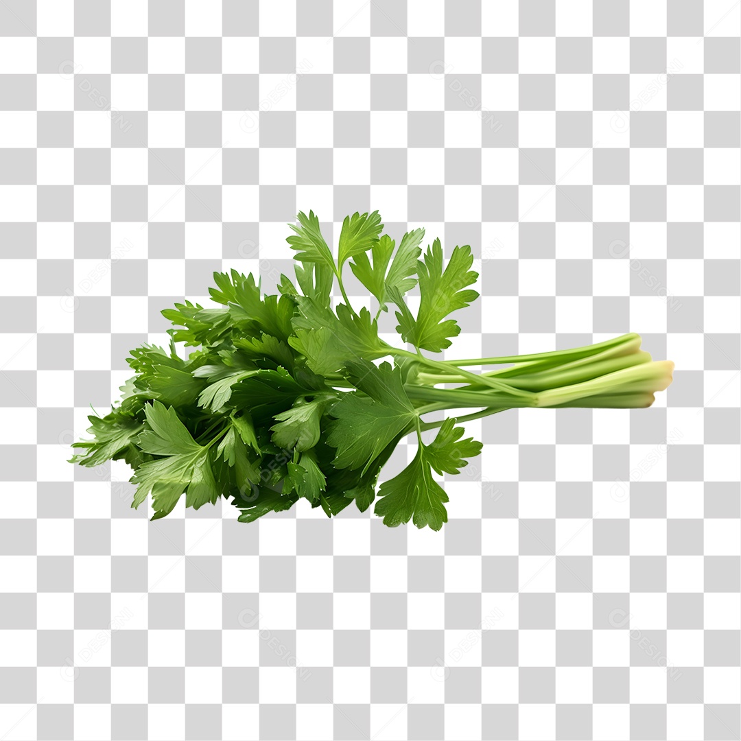 Salsa Fresca PNG Transparente