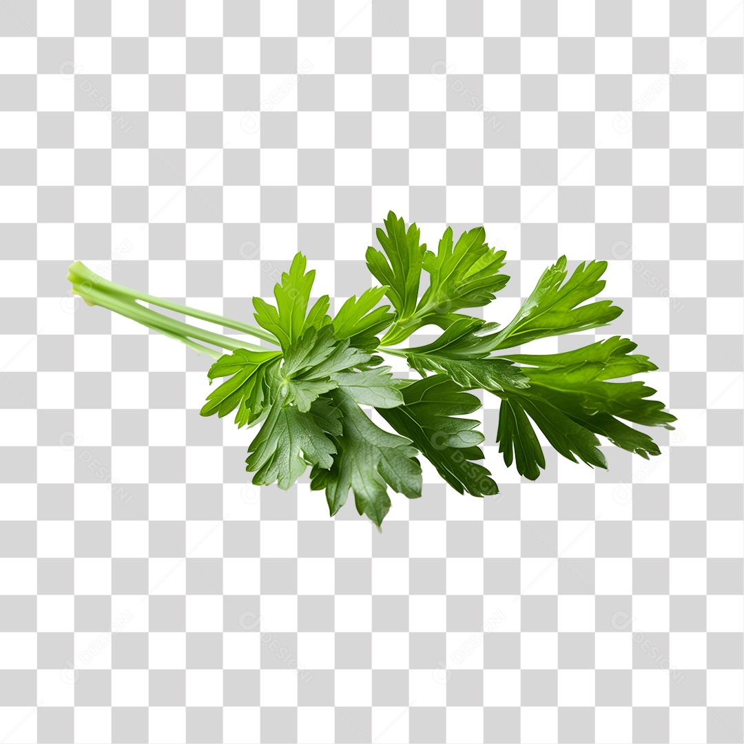 Salsa Fresca PNG Transparente