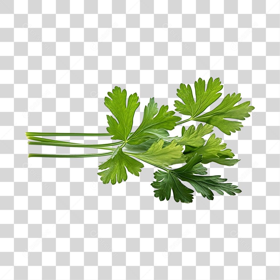 Salsa Fresca PNG Transparente