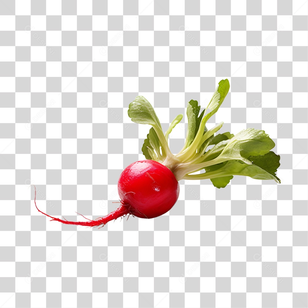 Rabanete PNG Transparente