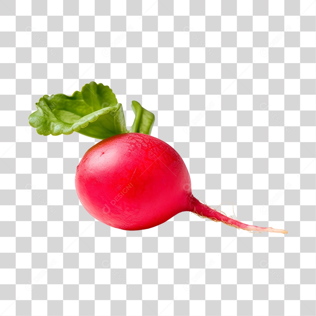 Rabanete PNG Transparente