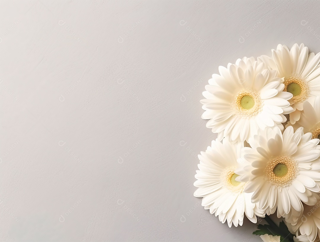 Flores brancas sobre fundo isolado branco.