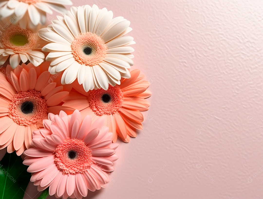 Flores coloridas sobre um fundo isolado branco.