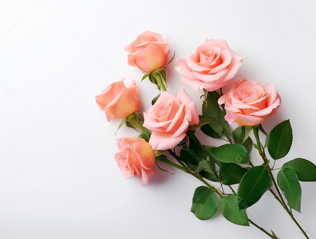 Buquê de rosas sobre fundo isolado branco.